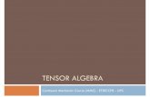 TENSOR ALGEBRA - · PDF fileConcept of Tensor A TENSOR is an algebraic entity with various components which generalizes the concepts of scalar, vector and matrix. Many physical quantities