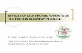 EFFECTS OF MILK PROTEIN VARIANTS ON THE PROTEIN RECOVERY ...old.eaap.org/Previous_Annual_Meetings/2004Bled/papers/GPH1.8_H... · EFFECTS OF MILK PROTEIN VARIANTS ON THE PROTEIN RECOVERY