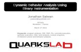 Dynamic Behavior Analysis Using Binary Instrumentationshell-storm.org/talks/StHack2015_Dynamic_Behavior_Analysis_using... · PDF fileDynamic Behavior Analysis Using Binary Instrumentation