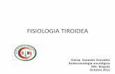 FISIOLOGIA TIROIDEA - International Atomic Energy Agency · FISIOLOGIA TIROIDEA Gloria Garavito González Endocrinología oncológica . INC- Bogotá . Octubre 2012 . Fisiología del