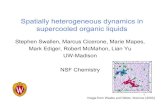 Spatially heterogeneous dynamics in supercooled organic ... · PDF fileSpatially heterogeneous dynamics in supercooled organic liquids ... Solids 1994, 172-4, ... pioneered the study