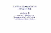 Amino Acid Metabolism (Chapter 20) Lecture 9 · Amino Acid Metabolism (Chapter 20) Lecture 9: The Urea Cycle ... Note on urea cycle : ... The 3 nitrogen waste excretion products of