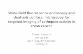 Wide-field fluorescence endoscopy and dual-axis …CDC.gov) • Cancerous and ... Boston Scientific SpyGlass Fiberscope 125 μm. Rodent Endoscope System. ... intra-rectally using soft