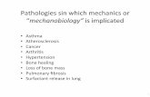 Pathologies sin which mechanics or - MIT OpenCourseWare · Pathologies sin which mechanics or " ... Nature 445, no. 7125 (2007): ... 20.310J Molecular, Cellular, and Tissue Biomechanics: