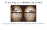 Principles of Underwater Sound - UW Courses Web  · PDF filePrinciples of Underwater Sound LO: Apply characteristics of sound in water to calculate sound levels