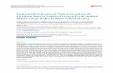 Immunobiochemical Characteristics of Purified Native ...file.scirp.org/pdf/OJI_2014111710374660.pdf · Leptin is a 16 kDa adipocyte-derived cytokine like protein hormone composed