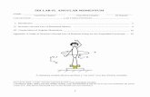 SDI LAB #5. ANGULAR MOMENTUM - Department of Physicssdi/sdi-5.pdf · axis through the suspension point O. ... spinning bicycle wheel rotates clockwise about OO’’, an axis through