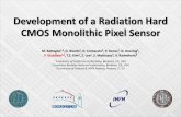 Development of a Radiation Hard CMOS Monolithic Pixel …rd.kek.jp/slides/20090902/KEK_2009_RHCMOS.pdf · KEK 2009 - Piero Giubilato –Development of a Radiation Hard CMOS MAPS 2/14