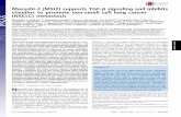 Musashi-2 (MSI2) supports TGF-β signaling and inhibits … ·  · 2016-06-17(MSI2) regulates mRNA translation and influences multiple bi-ological processes, including maintenance