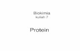 Biokimia 7 Protein.ppt [Read-Only] - USU OpenCourseWareocw.usu.ac.id/course/download/8110000028-biokimia/bio206_slide... · Fungsi protein • Sebagai enzim • Regulator enzim, mesenger
