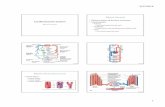 Blood Vessels Cardiovascular System - Linn–Benton …cf.linnbenton.edu/mathsci/bio/waitea/upload/Lecture_01… ·  · 2016-03-27o ΔP = Difference in pressure between two points