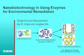 Nanobiotechnology in Using Enzymes for … in Using Enzymes for Environmental Remediation ... Enzymes vs. Microorganisms for ... Tyrosinase for Bioremediation and/or Soil Carbon ...