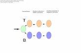 Commitment Positive selection I Positive selection II ... · Commitment Positive selection I Positive selection II Allelic exclusion Negative selection T B ... P RE-TCR SIGNALING