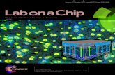 Volume 17 Number 15 7 August 2017 Pages 2531–2684 Lab …€¦ ·  · 2017-07-25Lab on a Chip rsc.li/loc ISSN 1473-0197 ... 20 into the skin which causes localized sweat generation21