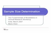 Sample Size Determination - ICSSC advice, or a pilot study To estimate σwe can use previous studies, ... Microsoft PowerPoint - Sample Size Determination, India 2007.ppt Author: phespeltPublished