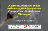 COMMERCIALISING SLIME Commercial … tremorigenic ... Taiwan, Thailand, USA,China, India; ... COMMERCIALISING SLIME Commercial Production of Fine Chemicals and Biofuels from Microalgae