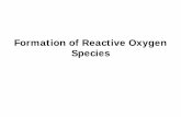 Formation of Reactive Oxygen Species - duahn/teaching/Lipid oxidation/Formation of...Ground-state or triplet oxygen is not very reactive . ... ER through oxidation process of ... guava