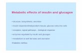 Metabolic effects of insulin and glucagon - LF UP Olomouc · Metabolic effects of insulin and glucagon • structure, biosynthesis, secretion • insulin dependent/independent tissues,