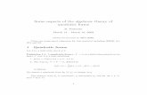 Some aspects of the algebraic theory of quadratic formsswc.math.arizona.edu/aws/2009/09ParimalaNotes.pdfSome aspects of the algebraic theory of quadratic forms R. Parimala March 14