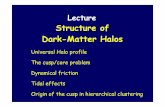 Structure of Dark-Matter Halos - UC Santa Cruz - Physics ...physics.ucsc.edu/~joel/Ay/214/Feb2-Dekel-DMHalos.pdf · Structure of Dark-Matter Halos ... to a power law: profiles get