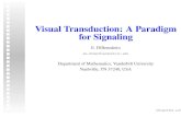 Visual Transduction: A Paradigm for · PDF fileVisual Transduction: A Paradigm for Signaling E. DiBenedetto em.diben@vanderbilt.edu Department of Mathematics, Vanderbilt University