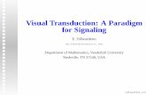 Visual Transduction: A Paradigm for Signaling  Transduction: A Paradigm for Signaling E. DiBenedetto em.diben@  Department of Mathematics, Vanderbilt University Nashville, TN