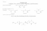 Chamras Chemistry 106 Lecture Notes Chapter 24: Amino ... · PDF fileChamras Chemistry 106 Lecture Notes Chapter 24: Amino Acids, Peptides, and Proteins General Formula: ... the amino