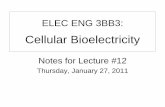 ELEC ENG 3BB3: Cellular Bioelectricity - McMaster …ibruce/courses/EE3BB3_2011/EE3BB3... · 2011-01-26 · ELEC ENG 3BB3: Cellular Bioelectricity Notes for Lecture #12 Thursday,
