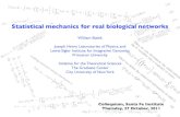 Statistical mechanics for real biological wbialek/SFI_2011.pdf · PDF fileStatistical mechanics for real biological networks William Bialek Joseph Henry Laboratories of Physics, and