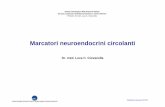 Marcatori neuroendocrini circolanti · MTC (IIC-CT) proinsulin mRNA δ α ... Gastrite cronica atrofica