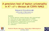 A precision test of lepton universality in K →ll ν decays ... · A precision test of lepton universality. ... of NP by direct production of NP particles Rarity(Hi. gh Intensit.