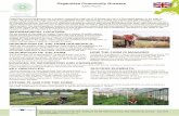 Organiclea Community Growers - European Commission · 2015-12-09 · 1,2 hectares of vegetables with olive and fruit trees along the edges of all the ... cultivation with the help