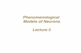 Phenomenological Models of Neurons Lecture 5labs.seas.wustl.edu/.../Lectures/Lecture5_PhenomenologicalModels.pdf · Phenomenological Models of Neurons!! ... g Matlab demo! 32! Vector/Matrix