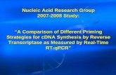 Nucleic Acid Research Group 2007-2008 Study: “A … bases71 bases h β-Actin transcript ...