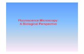 Fluorescence Microscopy: A Biological Perspective · 2012-04-30 · Detector systems: CCD cameras Axiocam HRc, ... location/function of tagged target protein. ... one for standard