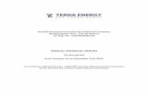 ANNUAL FINANCIAL REPORT - Terna Energy · ANNUAL FINANCIAL REPORT ... separate and consolidated statement of comprehensive income, statement of changes in equity and ... Management’s
