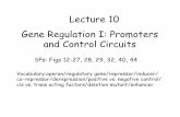Lecture 10 Gene Regulation I: Promoters and Control Circuitsriggs/BIOB11vault.html/Lecture 10 slides.pdf · There are four LAC operon and two TRP operon animation links available