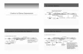 18 Regulation of Gene Expression - Biologybiology-lifescience.com/PPT_109_files/chapter18 mod3.pdf · Control of Gene Expression E. coli lac Operon lacY DNA Lac repressor Regulatory