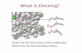 What is Docking? - Washington University in St. Louis · What is Docking? Given the 3D structures of two molecules, determine the best binding modes. Deﬁning a Docking ... Dimensionality