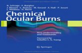 Chemical Ocular Burns - Οφθαλμίατρος4eyes.gr/images/4eyes/pdf/systemic-disorders/Chemical Ocular Burns... · the outcome of chemical ocular burns is judged not solely