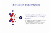 The Cation-π Interactiondadgrp/research/cation-pi.pdf · JC Ma, DA Dougherty, Chem. Rev., 97, 1303 (1997) N Zacharias, DA Dougherty TiPS, 23, 281 (2002) Gas Phase Cation-π Interactions