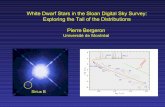 White Dwarf Stars in the Sloan Digital Sky Survey ...sdss2008.uchicago.edu/depot/bergeron-pierre.pdf · Teff=25,700 K log g=7.98 DB star Teff=19,500 K log g=8.22. 7167 DA ... Main
