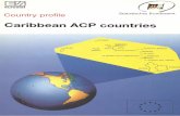 Caribbean ACP countriesaei.pitt.edu/67514/1/Country_Profile_Caribbean_countries.pdf · Uganda. Namibia and Cameroon), the two statistical Namibia and Cameroon), the two statistical