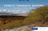 FOREST THEMATIC REPORT - European Commissionec.europa.eu/environment/life/publications/lifepublications/... · FOREST THEMATIC REPORT 9KLJ9D= / %; ... Statistics and trends ... Fire