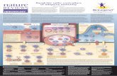 Dendritic cells: controllers of adaptive immunityimmunology- · PDF fileBioLegend offers the broadest selection of fluorochrome conjugates for multi-color flow cytometry. ... Dendritic