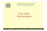 FuelCells: Performance - Dipartimento di Scienze … · espresse in cal/mole K Nelnostrocaso: ... the rate parameters and activation energy of one or ... the activation overvoltage