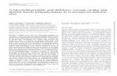 N-Glycolylneuraminic acid deﬁciency worsens cardiac …cmm.ucsd.edu/varki/varkilab/Publications/A213.pdf · muscle can inhibit muscular dystrophy in multiple ... cells of adult