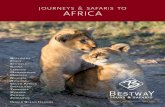 journeys AFRICA - Bestway · journeys & safaris to AFRICA Botswana Egypt Ethiopia KEnya LEsotho Madagascar Morocco naMiBia rwanda south africa swaziLand t ... of the Anti-Atlas ranges