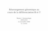 R©arrangement g©nomique au cours de la Rearrangement_Ig_M1_2009.pdf  organisation des g¨nes codant