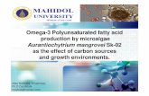 Omega-3 Polyunsaturated fatty acid production by .LOGO Omega-3 Polyunsaturated fatty acid production